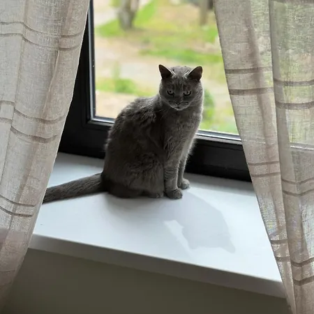 Appart hôtel Tkalcovna U Zlatého Potoka 3*