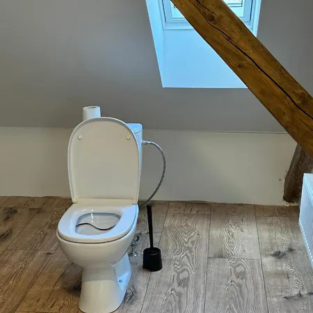 Tkalcovna U Zlatého Potoka Appart hôtel Dobrany (Hradec Kralove)