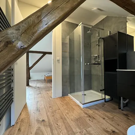 Tkalcovna U Zlatého Potoka Appart hôtel Dobrany (Hradec Kralove)
